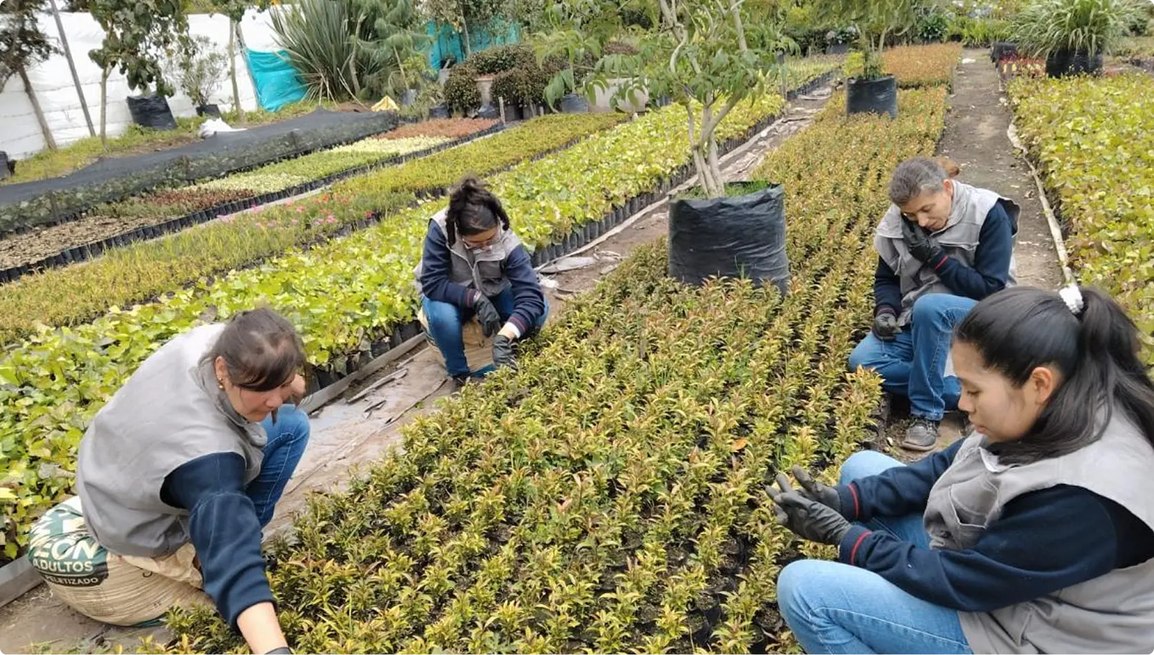 Imagen del artículo 1